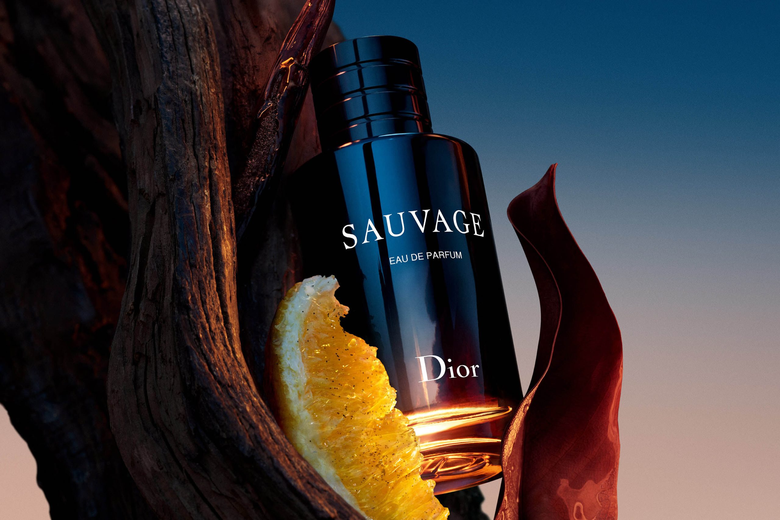 Sauvage Eau de Parfum 100ML 2 Sauvage Eau de Parfum 100ML - Image 2