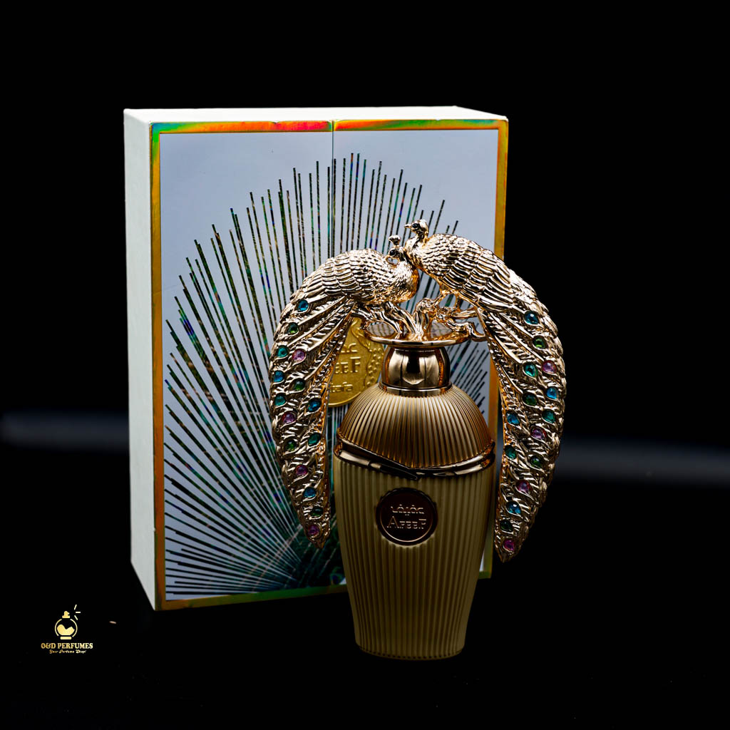 AFEEF 3 AFEEF - Image 3